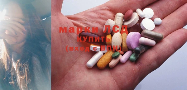 стаф Баксан