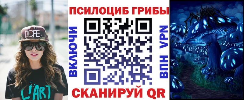 Псилоцибиновые грибы GOLDEN TEACHER  Гуково 